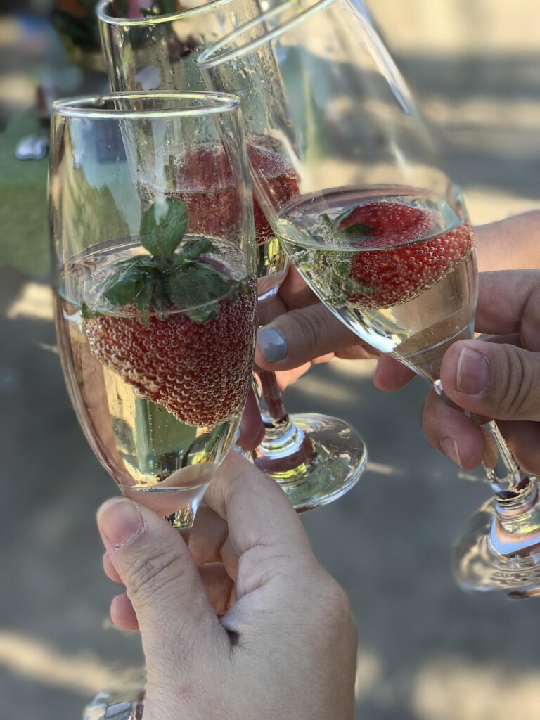 liquor, travel, celebrate